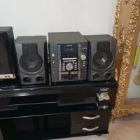 ضبط