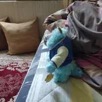 عروسک سالیوان مارک دار نو با جاسویچی|اسباب‌بازی بچه|تهران, امیر بهادر|دیوار