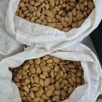 فروش بادام