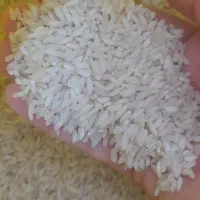 برنج عنبر بو درجه یک|خوردنی و آشامیدنی|شوشتر, |دیوار