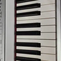 پیانو دیجیتال قیمت مناسب|پیانو، کیبورد، آکاردئون|شیراز, دست خضر|دیوار