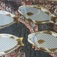 دیس ماهی سایز بزرگ