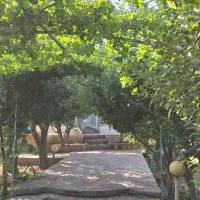 باغچه900متری-توس97