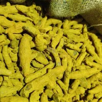 پخش عمده انواع ادویه جات کاری خورشتی پلویی و گوشت|خوردنی و آشامیدنی|تهران, بازار|دیوار