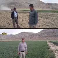 کودمعدنی ارگانیک باصرفه اقتصادی برای باغات و مزارع