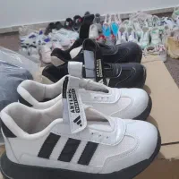 نصف نصف قیمت