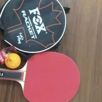 دسته پینگ پنگ|ورزش‌های توپی|مشهد, کوی ولیعصر|دیوار