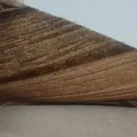 موکت نو