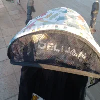 کالسکه دلیجان|کالسکه و لوازم جانبی|اصفهان, فجر|دیوار