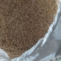 جو دیمی|عمدهفروشی|لاران, |دیوار