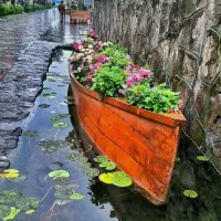 تور گروهی رشت زیبا ویژه روز پدر