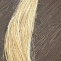موی طبیعی ابریشمی ۴۰ سانت رنگ شده بلوند ۲۵۰ شاخه|آرایشی، بهداشتی، درمانی|مراغه, |دیوار