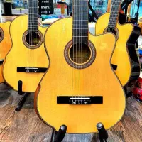 گیتار پیکاپدار Tapesun