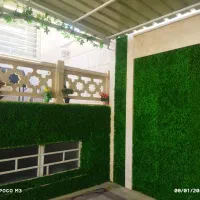 نصب انواع چمن مصنوعی گرین وال ،کف،و دیوارپوش موکت|خدمات باغبانی و درختکاری|شیراز, مسلم|دیوار