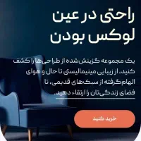 طراحی سایت حرفه ای فروشگاهی و شرکتی|خدمات رایانه‌ای و موبایل|شیراز, ملاصدرا|دیوار
