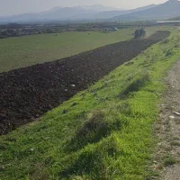 فروش زمین کشاورزی به مساحت 4900