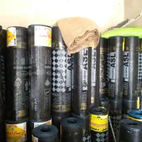 ایزوگام دانیالی