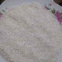 نیمدانه هاشمی