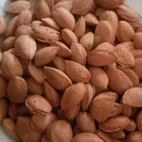 بادام تازه|خوردنی و آشامیدنی|تهران, شکوفه|دیوار