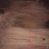 جارو|لوازم نظافت|کنگاور, |دیوار