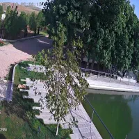 نیازمند باغبان با تجربه شبانه روزی