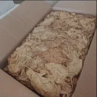 برگ زرد شیرین و دو مزه|خوردنی و آشامیدنی|شیراز, زرهی|دیوار