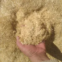 مال سرگل کمپاین ریز|خدمات باغبانی و درختکاری|کوهدشت, |دیوار