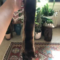 شال تزیینی|لباس|تهران, مینی‌سیتی (شهرک نفت)|دیوار