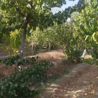 فروش زمین کشاورزی|فروش زمین و ملک کلنگی|خلجستان, |دیوار