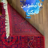 قالیشوی(تماماتوماتیکیکتا)