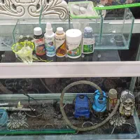 ست کامل اکواریوم