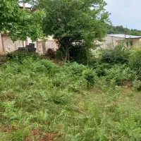 فروش زمین با قابلیت ساخت داخل بافت کاربری مسکونی|فروش زمین و ملک کلنگی|کیاسر, |دیوار