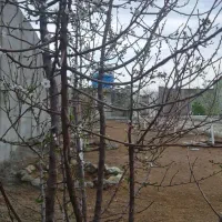 فروش . تهاتر . باغچه ویلایی