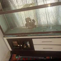 آکواریوم