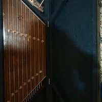 سنتور استاد امید فروغی