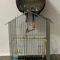 قفس و کوله پرنده