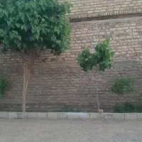 منزل-فروشی