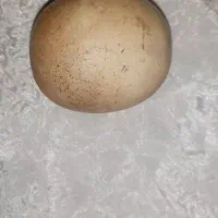 یک نمونه سنگ عتیقه برای کلسیون داخل منزل