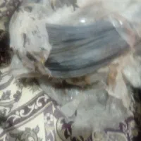 سه کلاف سیم آل موتور بندی