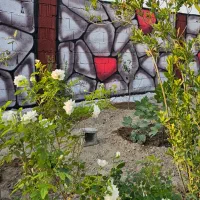 باغچه-باغ-چهاردیواری-سند-تک-برگ-جدا