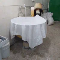 فروش امتیاز نانوایی بربری|فروشگاه و مغازه|بابلسر, |دیوار