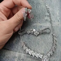 سرویس کامل نقره
