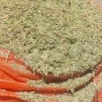 علف خوردشده۲۰۰۰۰۰|خدمات باغبانی و درختکاری|لاران, |دیوار