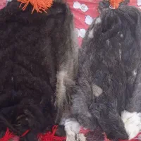 خیگ آماده روغن
