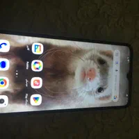 گوشی شیائومی A1+ سبز روشن 32 گیگ