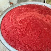 رب خانگی|خوردنی و آشامیدنی|تهران, نعمت‌آباد|دیوار