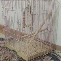 قفس انواع طوطی|لوازم جانبی حیوانات|کرج, مهرویلا جنوبی|دیوار