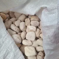 کشک کاملان گوسفندی