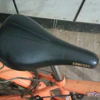 دوچرخه سایز ۲۰ دخترانه صورتی|دوچرخه، اسکیت، اسکوتر|گنبد کاووس, |دیوار