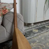 دوتار|سازهای سنتی|تربت جام, جامی|دیوار